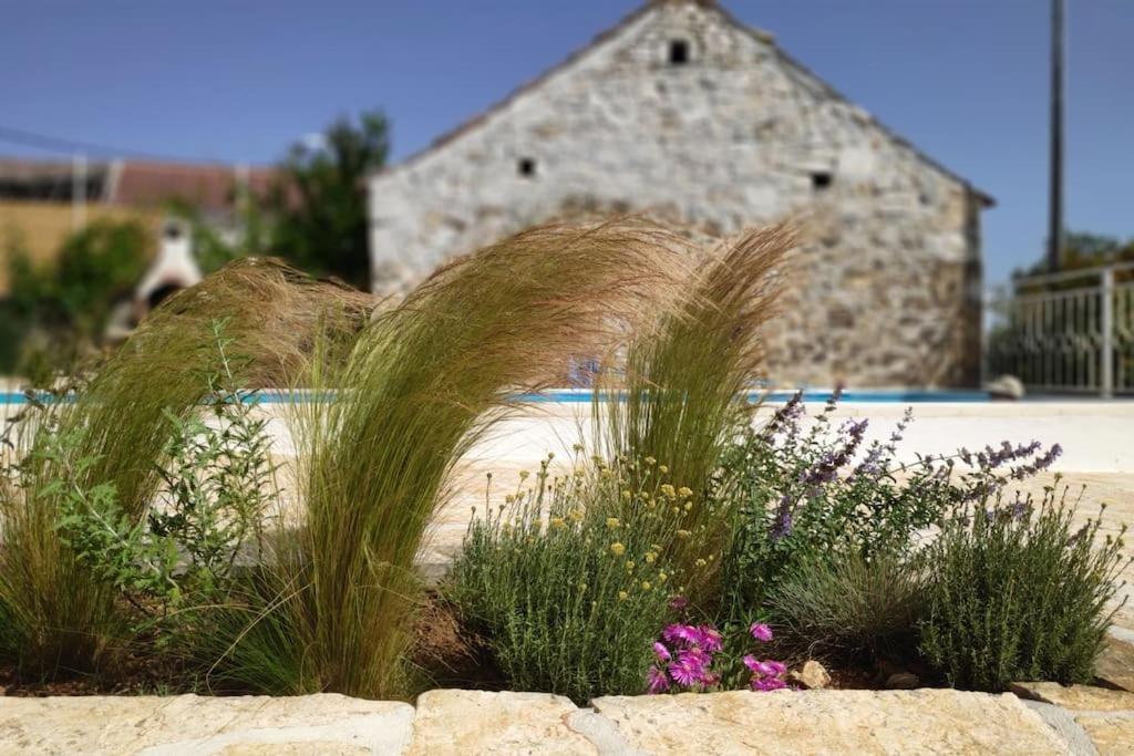 Вилла Stone House Kula Milica Mala Cista Экстерьер фото